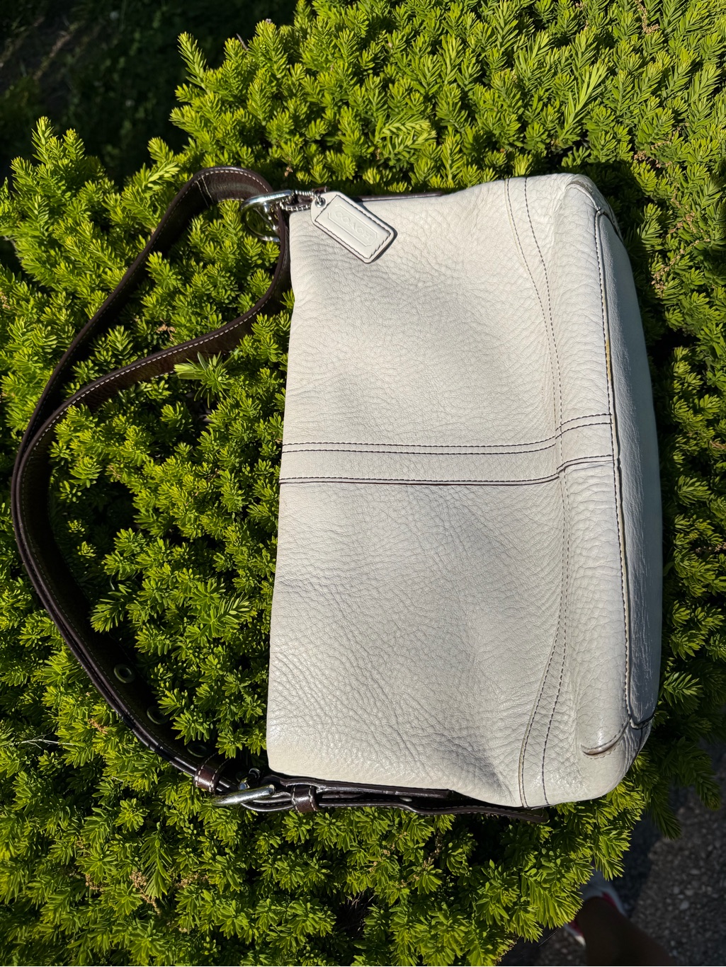 Coach Pebbled Leather Hobo In Off-White With Dark Brown Strap